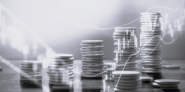 Investment Affairs